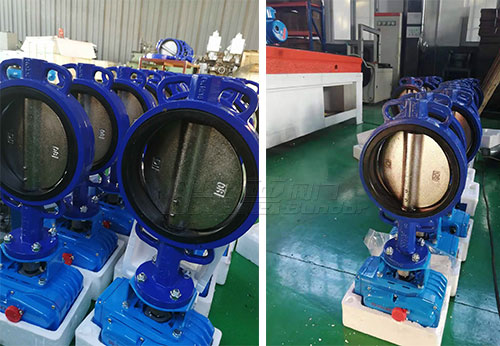 般德蝶閥、閘閥產(chǎn)品出口菲律賓