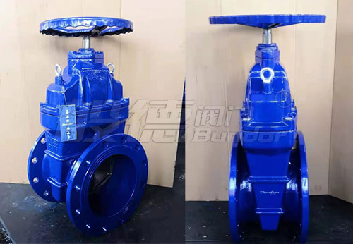 般德閘閥、過濾器、橡膠接頭等產(chǎn)品出口南非