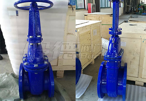 般德軟密封閘閥、硬密封閘閥等出口意大利