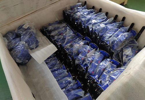 波蘭某商家采購般德蝶閥和止回閥產(chǎn)品